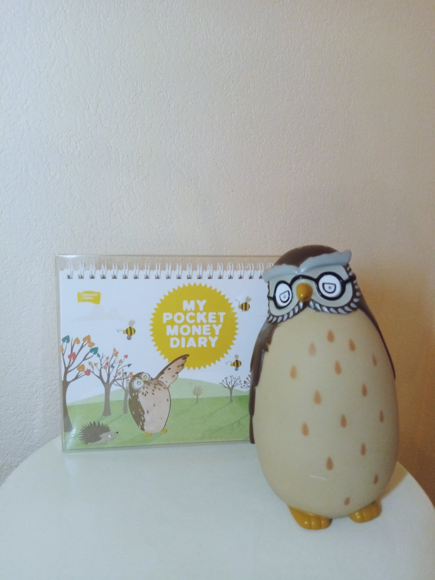 Diary & Money Box